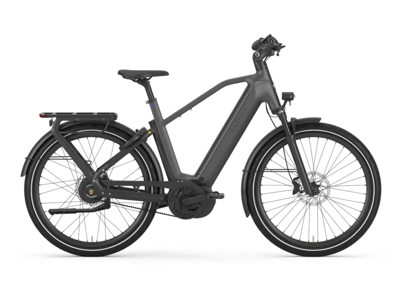 Gazelle mountain best sale bike