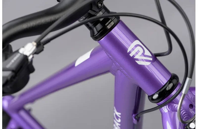 Ridgeback dimension sales 26 review