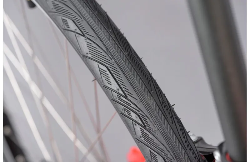 Ridgeback Motion Red-11