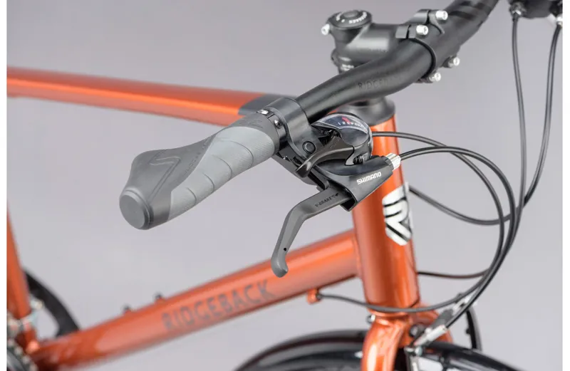 Ridgeback Speed Bronze-2