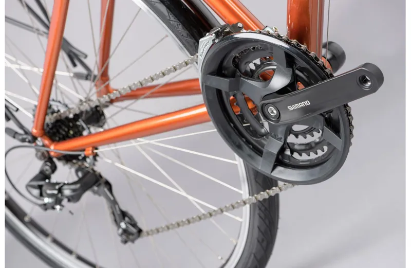 Ridgeback Speed Bronze-8