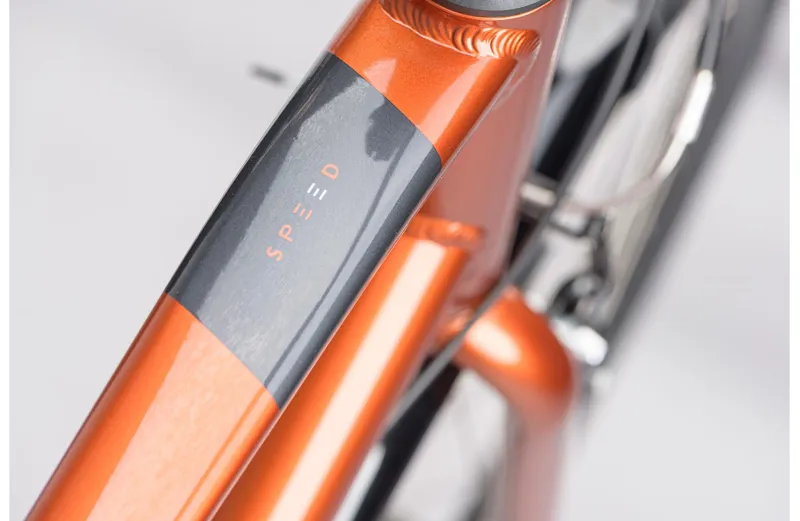 Ridgeback Speed Bronze-5