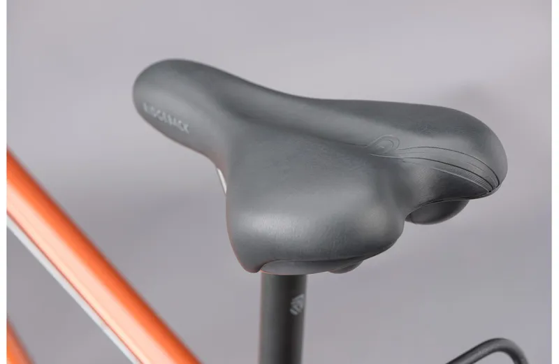 Ridgeback Speed Bronze-11