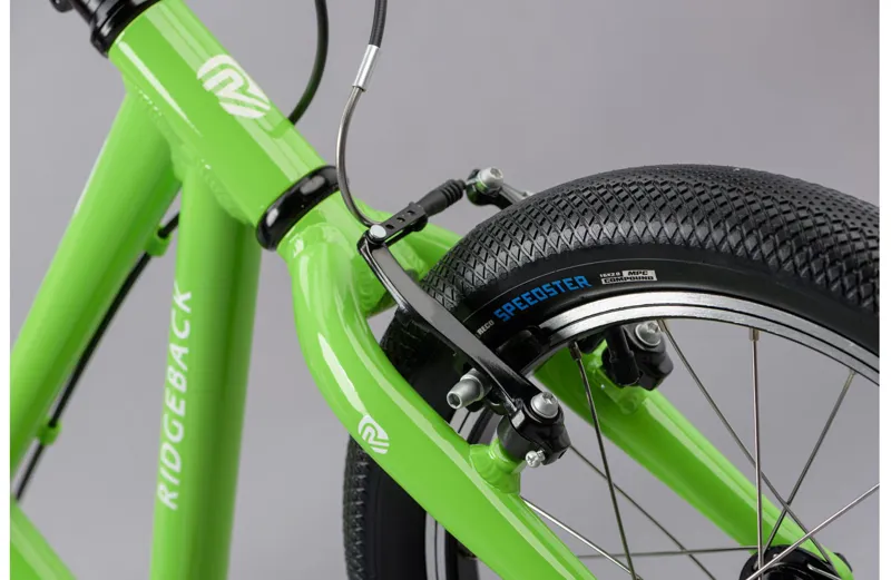 Ridgeback Dimension 16 Kids Bike in Green-4